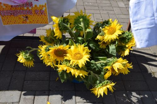 В Нурлате традиционный Фестиваль меда вновь собрал гостей