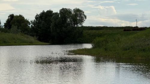 Погода в Нурлате 4 августа