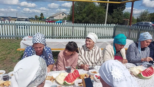 Деревня Курнали Амзя отпраздновала 290-летие: школа-музей, земляки и народные гуляния