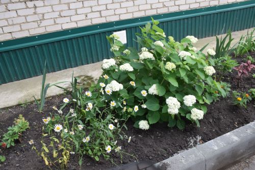 Регистрация частных домов в Татарстане: два варианта оформления