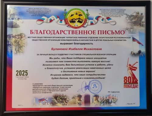 В День ВДВ нурлатцы получили высокие награды за патриотическую деятельность