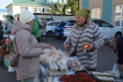 В Единый день голосования в Нурлате стартовали традиционные осенние ярмарки