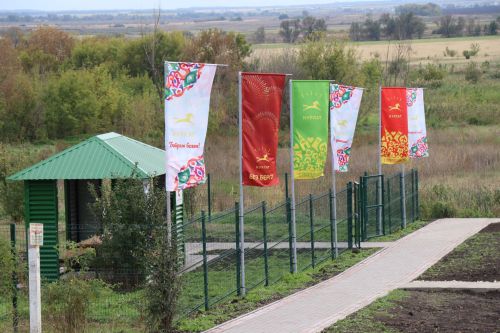В Нурлате с участием министра открыли родник «Зуфар бабай чишмэсе»