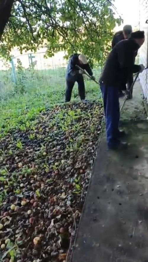 В ТОСе «Курмышский» продолжаются осенние субботники