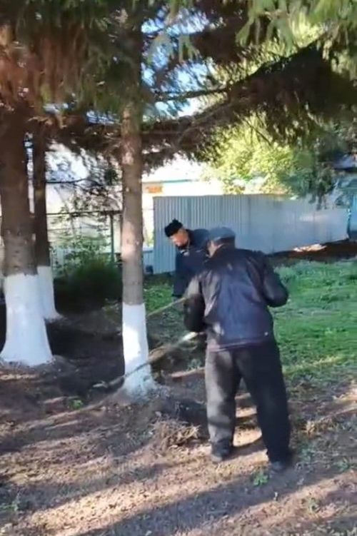 В ТОСе «Курмышский» продолжаются осенние субботники