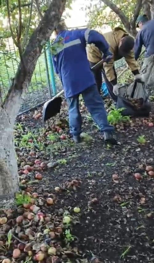 В ТОСе «Курмышский» продолжаются осенние субботники