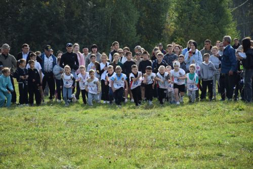 Более 300 нурлатцев присоединились к масштабным соревнованиям «Кросс Татарстана-2025»