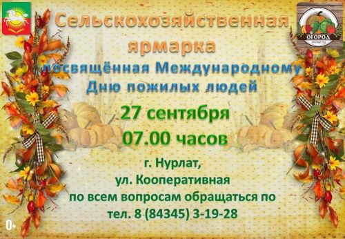 Ярмарка ко Дню пожилых людей на улице Кооперативная в Нурлате