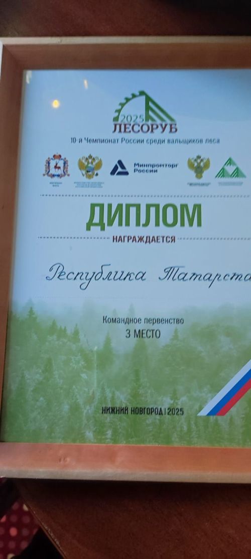Чемпионат России «Лесоруб-2025»: команда Татарстана с нурлатскими лесниками стала абсолютными чемпионами