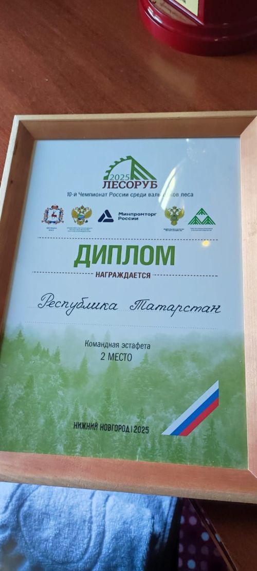 Чемпионат России «Лесоруб-2025»: команда Татарстана с нурлатскими лесниками стала абсолютными чемпионами