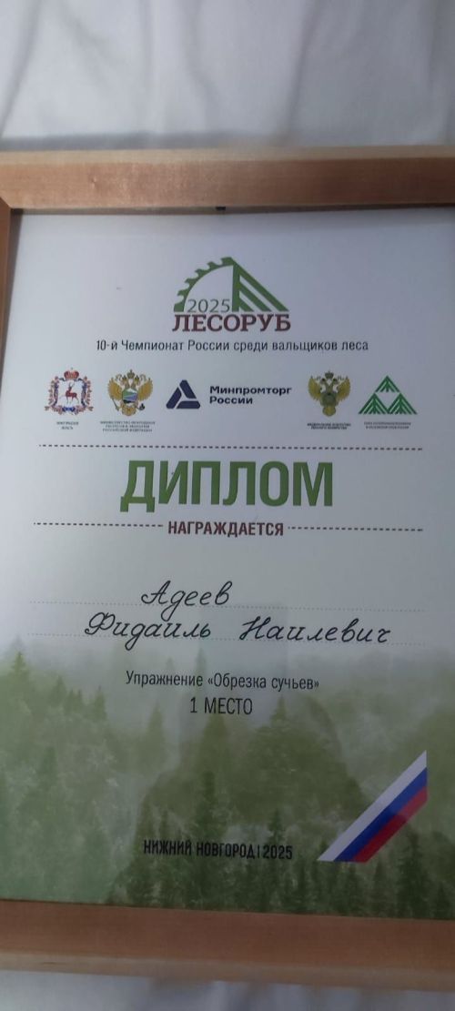 Чемпионат России «Лесоруб-2025»: команда Татарстана с нурлатскими лесниками стала абсолютными чемпионами