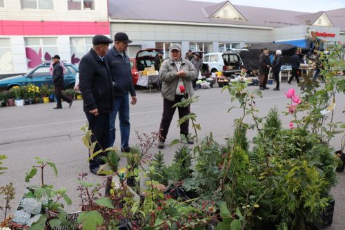 В Нурлате ко Дню пожилых людей организовали осеннюю ярмарку