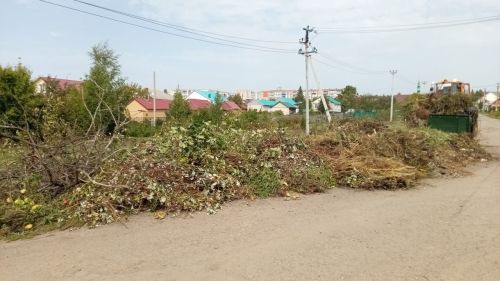 За чистоту Нурлата: как правильно утилизировать отходы и избежать штрафов