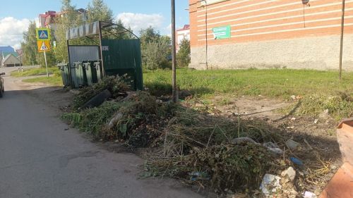 За чистоту Нурлата: как правильно утилизировать отходы и избежать штрафов