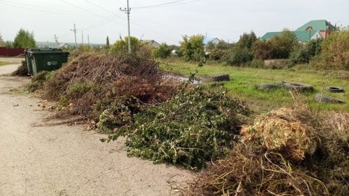 Опасность сжигания сухой ботвы: почему эта привычка угрожает безопасности и экологии