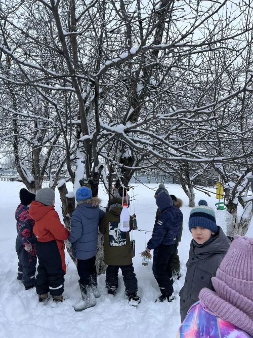 Юные «Эколята» Нурлата открыли птичьи столовые
