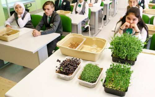 Новые кадры для АПК: в Татарстане расширяют сеть агротехнологических классов