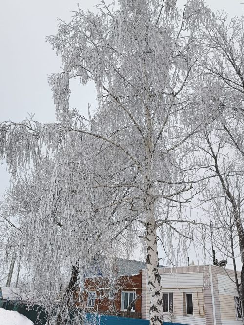 Погода в Нурлате 15 января