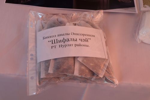 В Бикуловском сельском поселении состоялся сход граждан с участием главы Нурлатского района