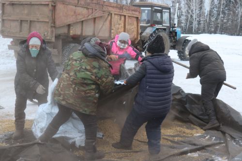 Глава Нурлатского района оценил уникальный опыт «Агрофирмы 15» по хранению сои