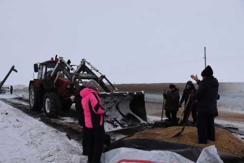 Глава Нурлатского района оценил уникальный опыт «Агрофирмы 15» по хранению сои