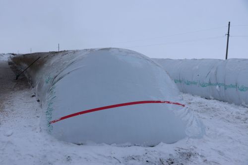 Глава Нурлатского района оценил уникальный опыт «Агрофирмы 15» по хранению сои