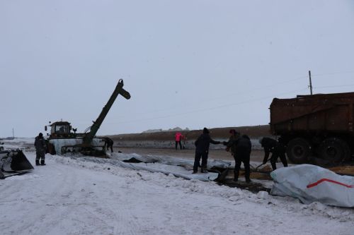 Глава Нурлатского района оценил уникальный опыт «Агрофирмы 15» по хранению сои