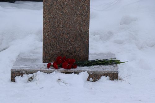 Пример служения Родине: на Аллее славы прошел урок мужества для школьников