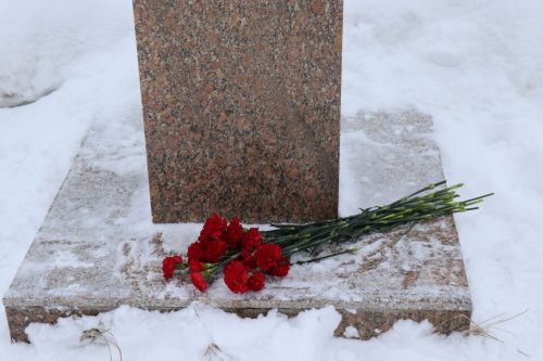 Пример служения Родине: на Аллее славы прошел урок мужества для школьников