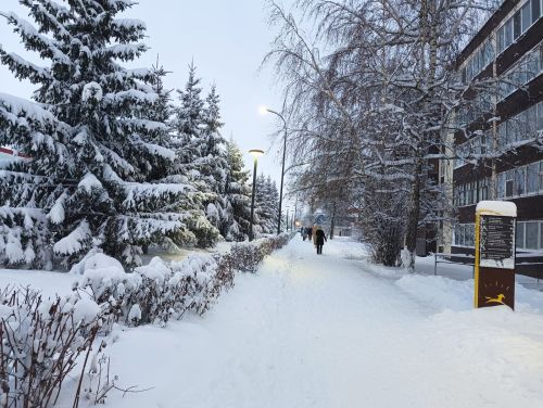 Погода в Нурлате 23 января
