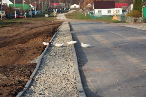 Жители отдаленных поселков дождались новой дороги