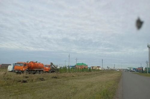 В Нурлате высадили 200 хвойных деревьев
