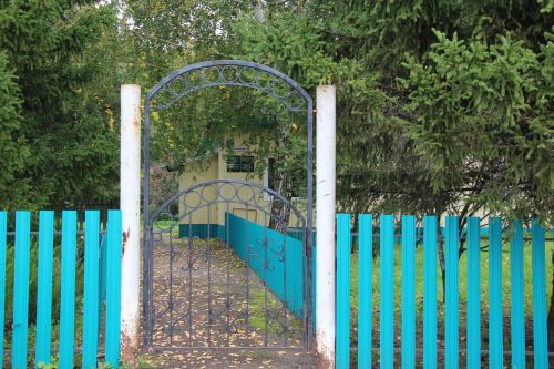 Лес дает мне энергию: история заслуженного лесовода Петра Блинова