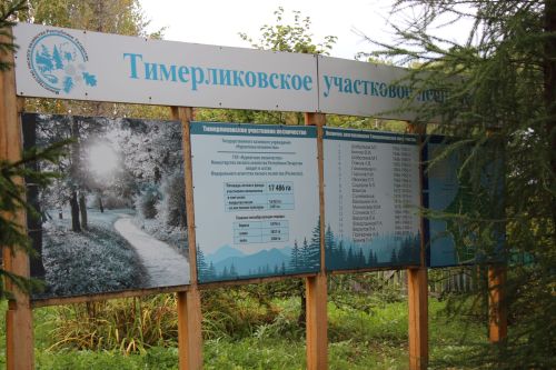 Лес дает мне энергию: история заслуженного лесовода Петра Блинова