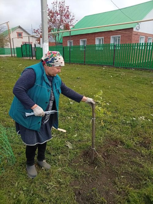 В Нижнем Нурлате высадили рябиновую аллею