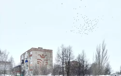Календарь праздников на 19 февраля 2026 года
