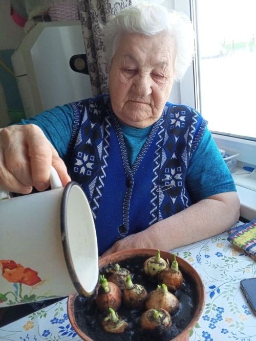 Огород на подоконнике: в «Гармонии» встречают весну задолго до календаря