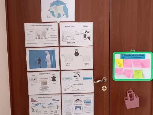 Воспитанники детского сада «Буратино» отметили День белого медведя
