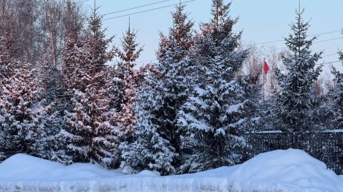 Погода в Нурлате 6 февраля
