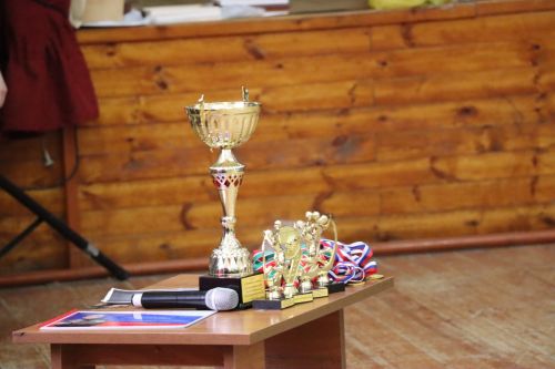 В селе Чулпаново прошел турнир, объединивший поколения