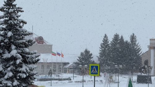 Метель с ухудшением видимости до 1-2 км ожидается в Татарстане 11 марта