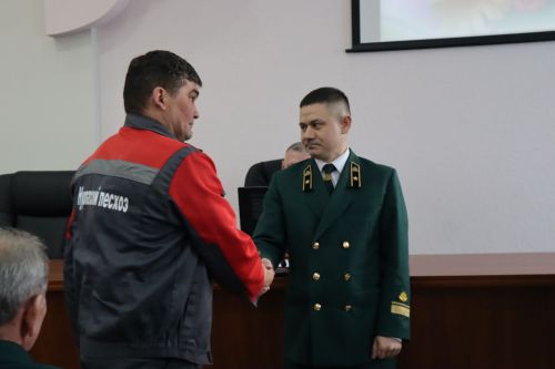 В Нурлате подвели итоги работы лесной отрасли за 2025 год