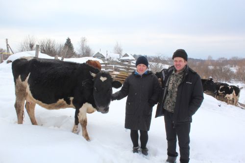 Многодетная семья Сосипатровых из Селенгушей содержит 12 голов КРС и стала лучшим подсобным хозяйством