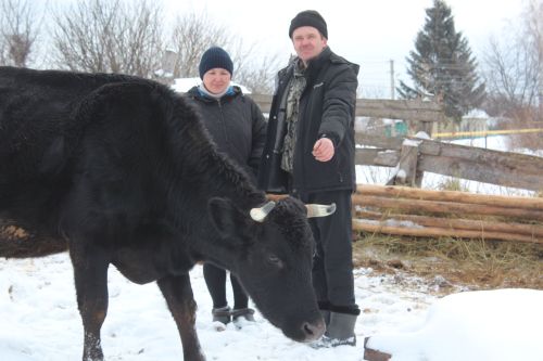 Многодетная семья Сосипатровых из Селенгушей содержит 12 голов КРС и стала лучшим подсобным хозяйством