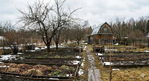 Календарь посадок 2026: когда выходить в огород в Нурлатском районе?