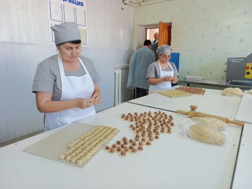 Делегация Минэкономики РТ оценила промышленный потенциал Нурлатского района