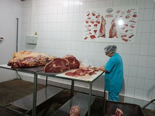 Делегация Минэкономики РТ оценила промышленный потенциал Нурлатского района