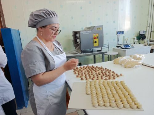 Делегация Минэкономики РТ оценила промышленный потенциал Нурлатского района