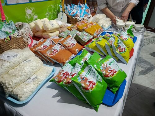 Делегация Минэкономики РТ оценила промышленный потенциал Нурлатского района