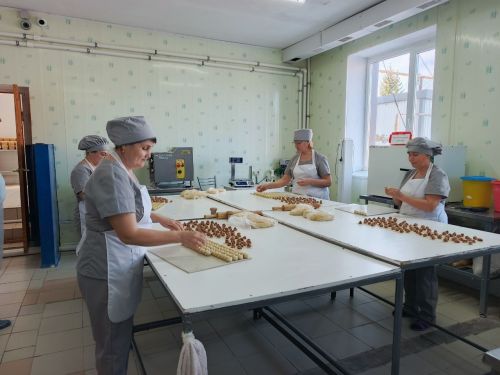 Делегация Минэкономики РТ оценила промышленный потенциал Нурлатского района